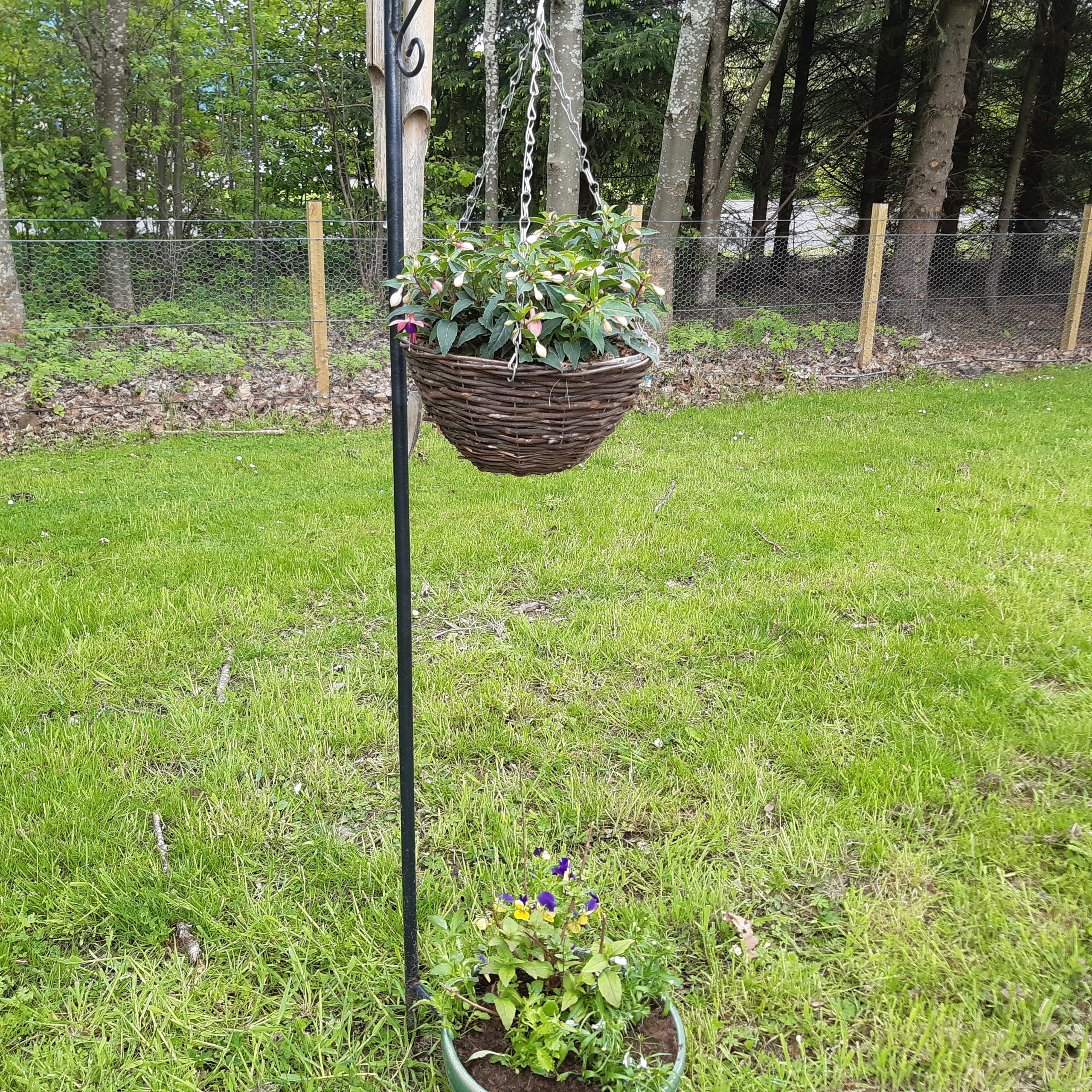 Wooden hanging basket with a green plant in it
