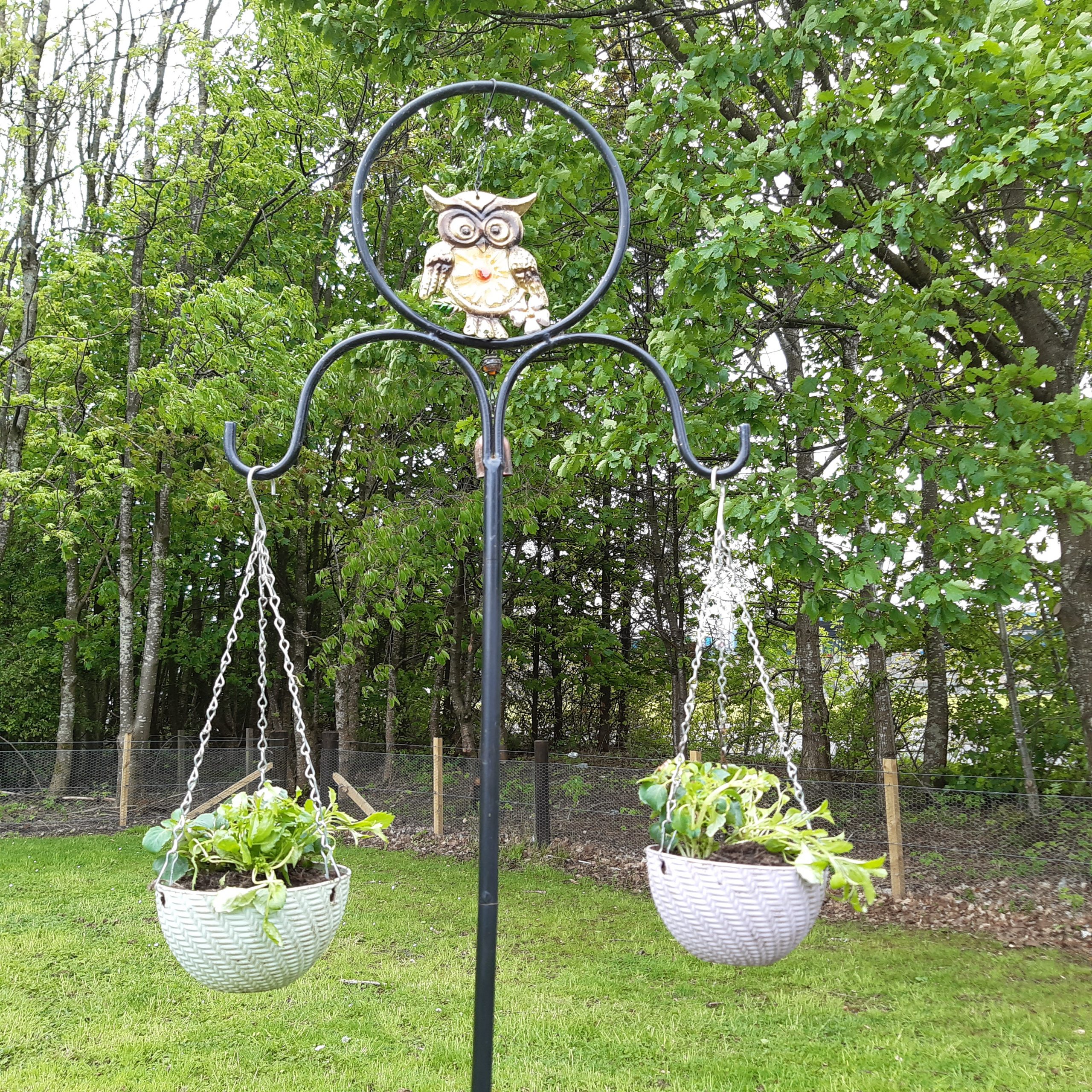 Two hanging baskets with an owl garden ornament in the middle