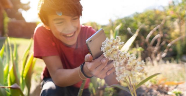 Young boy taking a photograph of a plant