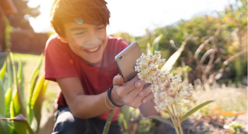 Young boy taking a photograph of a plant