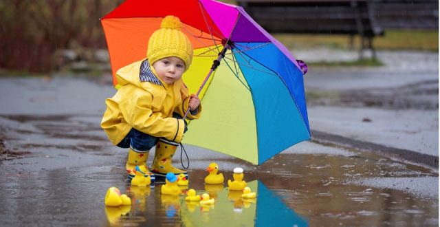 A young boy in a yellow rain jackets holds up a rainbow umbrella. There is a small puddle at his feet with a dozen rubber ducks in it.