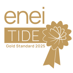 Enei gold award 2025